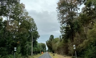 Gran casa con 6 dormitorios a minutos de Villarrica