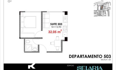 Selaria Departamentos de 1/2/3 Dormitorios mas Bodega y Parqueo Incluido