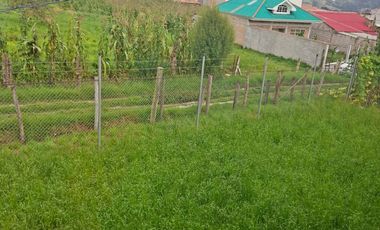 Ricaurte Venta de 3 casas mas terreno