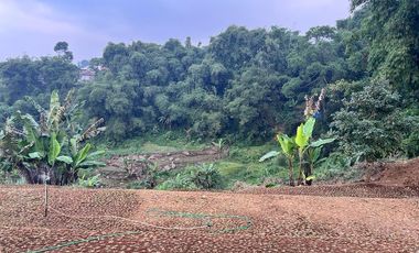 Jual Villa Puncak Cipanas di Atas Sate Merangi Tanah Luas