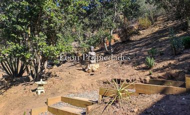 Leon Propiedades vende parcela con casa en sector el Quillay, Curacaví.