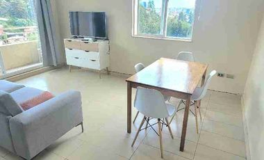 Arriendo dpto a pasos UdeC