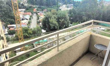 Arriendo dpto a pasos UdeC