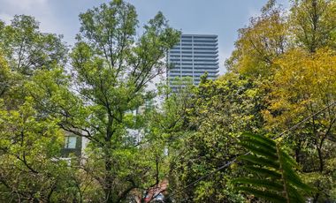 DEPARTAMENTO EN VENTA EN CAMPOS ELISEOS POLANCO