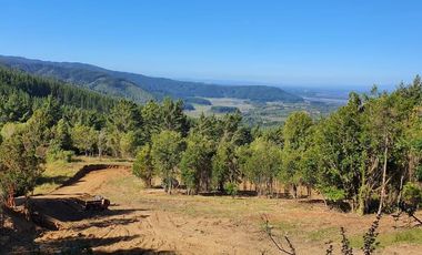 Se vende hermosa parcela en Potrero Alto, camino a Curiñanco - Valdivia