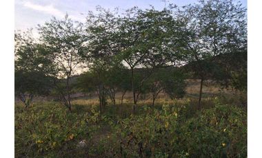 Venta de Terreno en Zona Norte de Montecristi