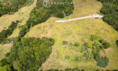 Venta Lote Completo / Chonchi, Chiloé - Los Lagos // 9 Lotes
