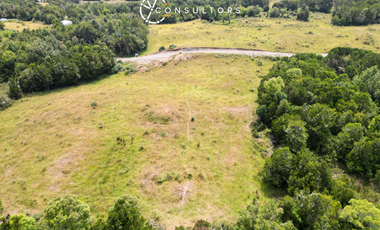 Venta Lote Completo / Chonchi, Chiloé - Los Lagos // 9 Lotes