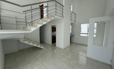 APARTAMENTO ARRIENDO CERCA A LA U SANTO TOMAS, COMUNEROS