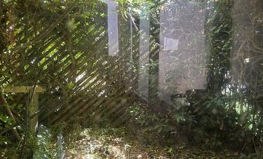 Se vende casa en La Serena, calle República