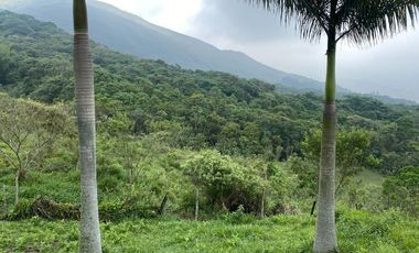 VENTA DE FINCA EN EL PEDREGAL, YUMBO, VALLE DEL CAUCA