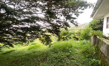 VENTA DE FINCA EN EL PEDREGAL, YUMBO, VALLE DEL CAUCA