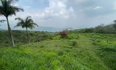 VENTA DE FINCA EN EL PEDREGAL, YUMBO, VALLE DEL CAUCA