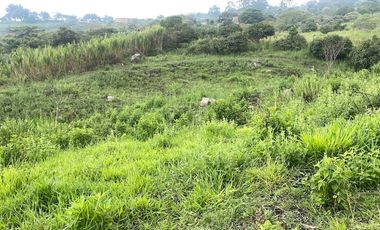 VENTA DE FINCA EN EL PEDREGAL, YUMBO, VALLE DEL CAUCA