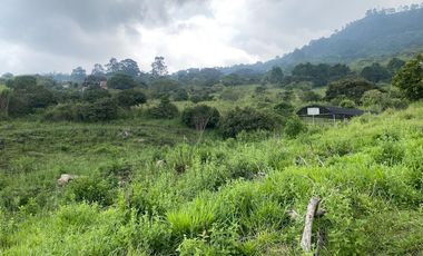 VENTA DE FINCA EN EL PEDREGAL, YUMBO, VALLE DEL CAUCA