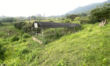 VENTA DE FINCA EN EL PEDREGAL, YUMBO, VALLE DEL CAUCA