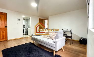 Hermoso departamento en Padre Las Casas, Región de La Araucanía