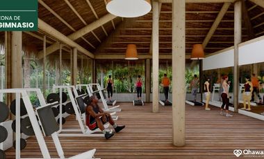 PROYECTO TOP EN TARAPOTO