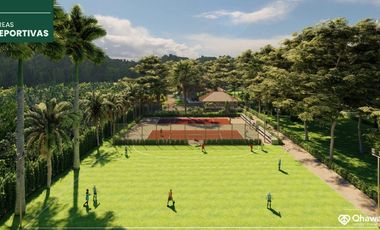 PROYECTO TOP EN TARAPOTO