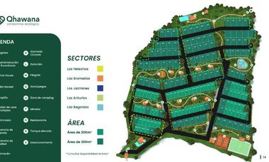 PROYECTO TOP EN TARAPOTO
