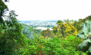 🏡 INVERSIÓN PREMIUM EN ZONA DE ALTA PLUSVALÍA TERRENO EXCLUSIVO — AV. FRANCISCO DE ORELLANA (GERANIOS)