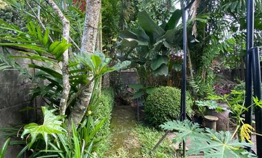 Dijual Murah Rumah dan Tanah Luas Lokasi Kalasan di Dekat Bandara Lama