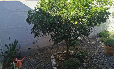 Condominio Peñaflor Preciosa Casa 3D 2B