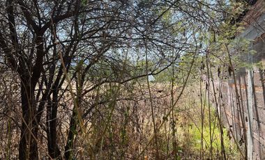 Quinta de descanso en venta - Senguio, Mich. – Frente al Río Descripción: Excelente oportunidad de inversión en Senguio. Propiedad totalmente equipada