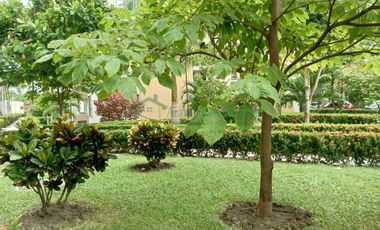 ARRENDAMOS APARTAMENTO AMOBLADO EN EL CONDOMINIO ALMENDRO - RICAURTE