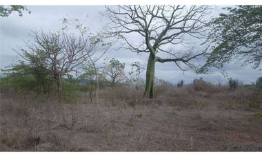 Venta de Terreno en Los Bajos de la Palma Montecristi