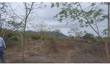 Venta de Terreno en Los Bajos de la Palma Montecristi