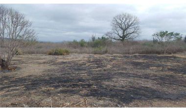 Venta de Terreno en Los Bajos de la Palma Montecristi