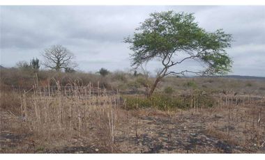 Venta de Terreno en Los Bajos de la Palma Montecristi