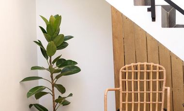 Rumah Villa Homestay Mewah Jl Damai Jl Kaliurang Km 8 Dekat UGM, Pogung, Green Hills, UII, Condongcatur