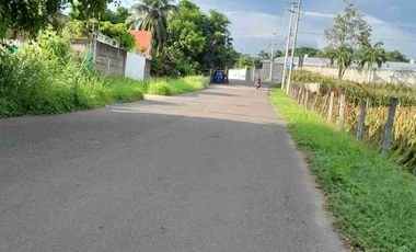 VENTA. 100. HECTAREAS  COATZACUALCOS MINATITLAN  VERACRUZ.