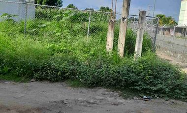 VENTA. 100. HECTAREAS  COATZACUALCOS MINATITLAN  VERACRUZ.
