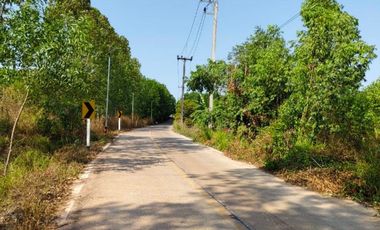 ขายบ้านเดี่ยวพร้อมที่ดิน เนื้อที่ 9 ไร่ 3 งาน 7 ตร.วา นาดี ปราจีนบุรี