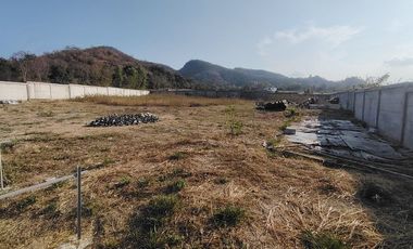 387 TW | Prime Home Plot near city Center Urgent Land Sale - Reduced Price