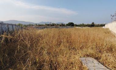 387 TW | Prime Home Plot near city Center Urgent Land Sale - Reduced Price