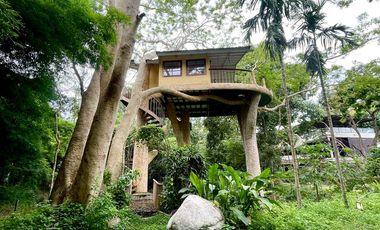 For Sale / Rent Unique Wooden Villa with Pool & Garden for Rent/Sale in Mae Rim, Chiang Mai. Near Prem International School, NIS International School.