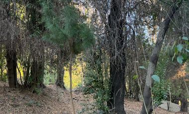 Se vende parcela de 5.000 m2 en Vilches Alto