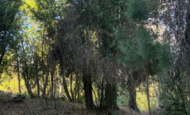 Se vende parcela de 5.000 m2 en Vilches Alto