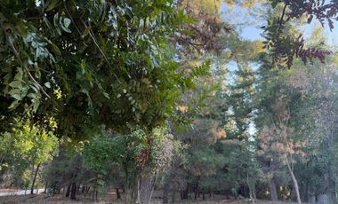 Se vende parcela de 5.000 m2 en Vilches Alto