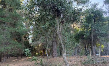Se vende parcela de 5.000 m2 en Vilches Alto