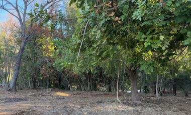 Se vende parcela de 5.000 m2 en Vilches Alto