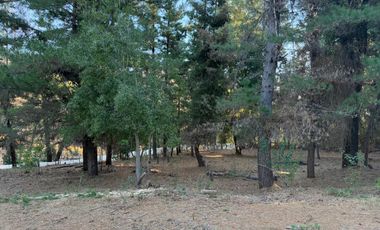 Se vende parcela de 5.000 m2 en Vilches Alto