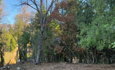 Se vende parcela de 5.000 m2 en Vilches Alto