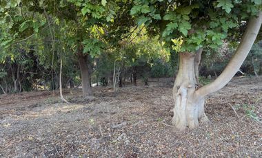 Se vende parcela de 5.000 m2 en Vilches Alto