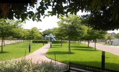 🏡 INVERSIÓN PREMIUM EN ZONA DE ALTA PLUSVALÍA TERRENO EXCLUSIVO — URB. PENÍNSULA, ISLA MOCOLÍ