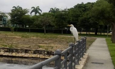 🏡 INVERSIÓN PREMIUM EN ZONA DE ALTA PLUSVALÍA TERRENO EXCLUSIVO — URB. PENÍNSULA, ISLA MOCOLÍ